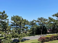 -棒棰岛宾馆景区