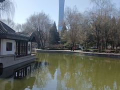 -团结湖公园