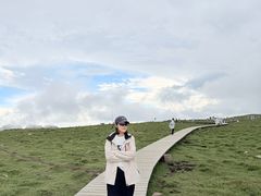 -芦芽山旅游度假区