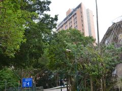 香港大学-香港大学