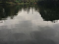 -晓港公园