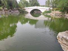 -大兴滨河森林公园