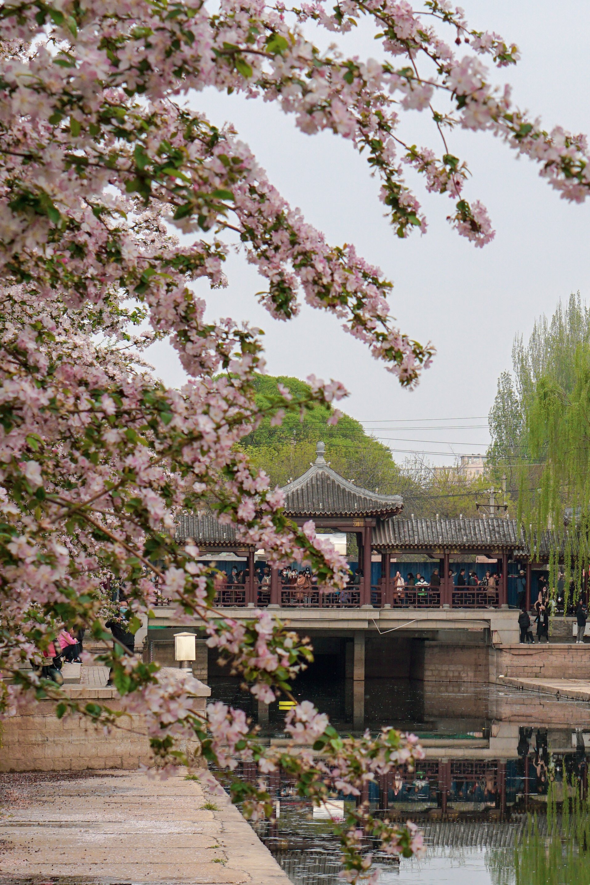 海棠花溪景区图片图片