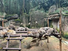 -杭州野生动物世界