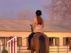 -北京群众马术培训基地