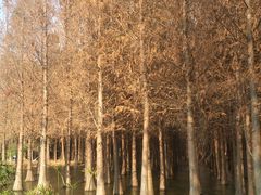 景点-捞渔河湿地公园