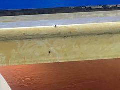 门面-宗泉烤全羊·烤羊腿·家常菜(解放东路店)