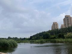 -前关湿地公园