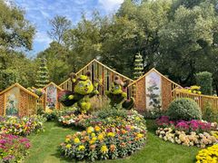 -上海共青森林公园