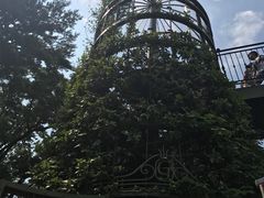 -三鹰之森吉卜力美术馆