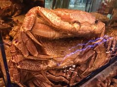 -蟹道乐(道顿堀本店)