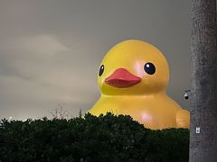 -深圳人才公园
