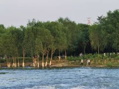 -永定河休闲森林公园