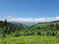 -新疆那拉提国家旅游度假区