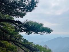 -黄山风景区