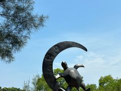 -广东惠东海龟国家级自然保护区