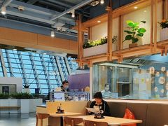 -翡翠拉面小笼包Crystal Jade(上海浦东国际机场T1店)