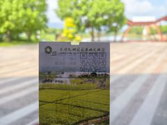 -长兴太湖图影湿地文化园