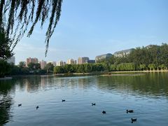 -中国农业博物馆