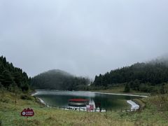 -武陵山森林公园