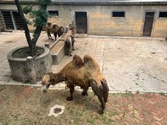 -昆明动物园