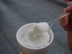 -洪馨椰子