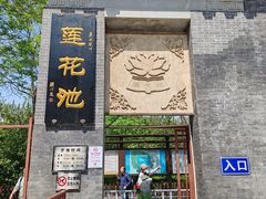 -莲花池公园