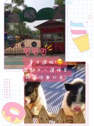 -萌宠亲子动物乐园(槐房万达店)