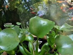 -新竹里馆·花园餐厅(兴苑路店)