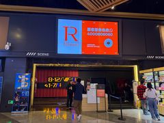 -万达影城(闵行颛桥万达广场杜比影院店)