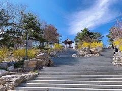 -大兴滨河森林公园