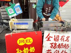 -孙奶奶葱包桧