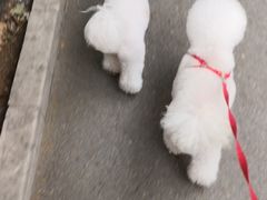 -美联众合动物医院·24h京西诊疗中心