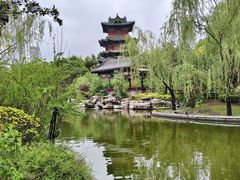 -迎泽公园