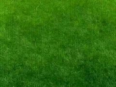 -陈经纶中学劲松分校小学部(平乐园校区)