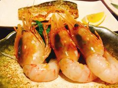-左舞日本料理