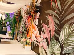 美人鱼芝士-随心小姐