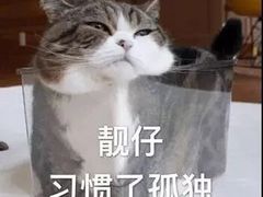 -COCO壱番屋(北京平安国际金融中心店)