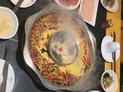 -一斗火锅·招财羊毛肚(北温泉九号店)