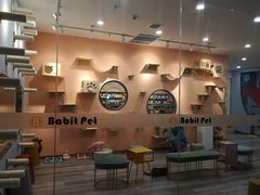 -BABIT巴比特宠物(MOMOPARK店)