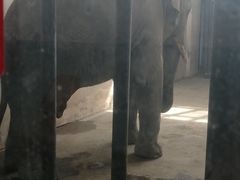 -新疆天山野生动物园