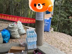 -午潮山国家森林公园