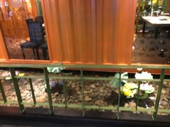 -丰茂烤串(金泉美食宫店)