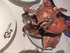 -初色海鲜自助(新辰里亚运村店)