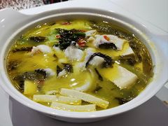 -鱼你在一起(新森兰花园城店)