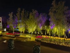 -济宁运河核心景区