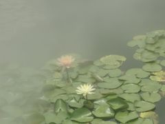 -石峰岩寺