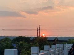 -宝安西湾红树林湿地公园