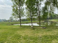 -安德鲁户外烧烤帐篷营地(马泉营店)