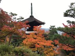 -常寂光寺